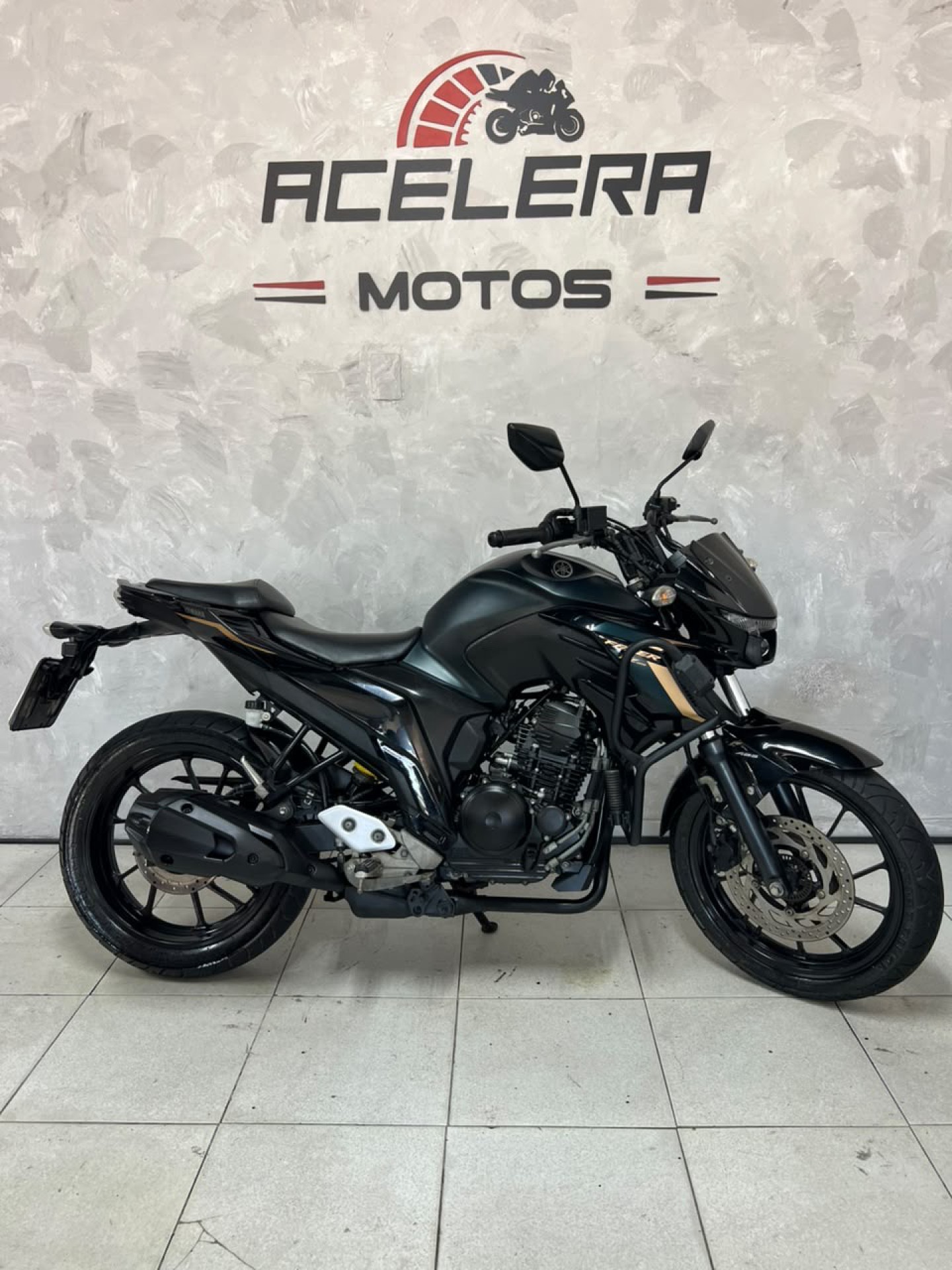 Yamaha Ys 250 Fazer Fz25 Verde 2024
