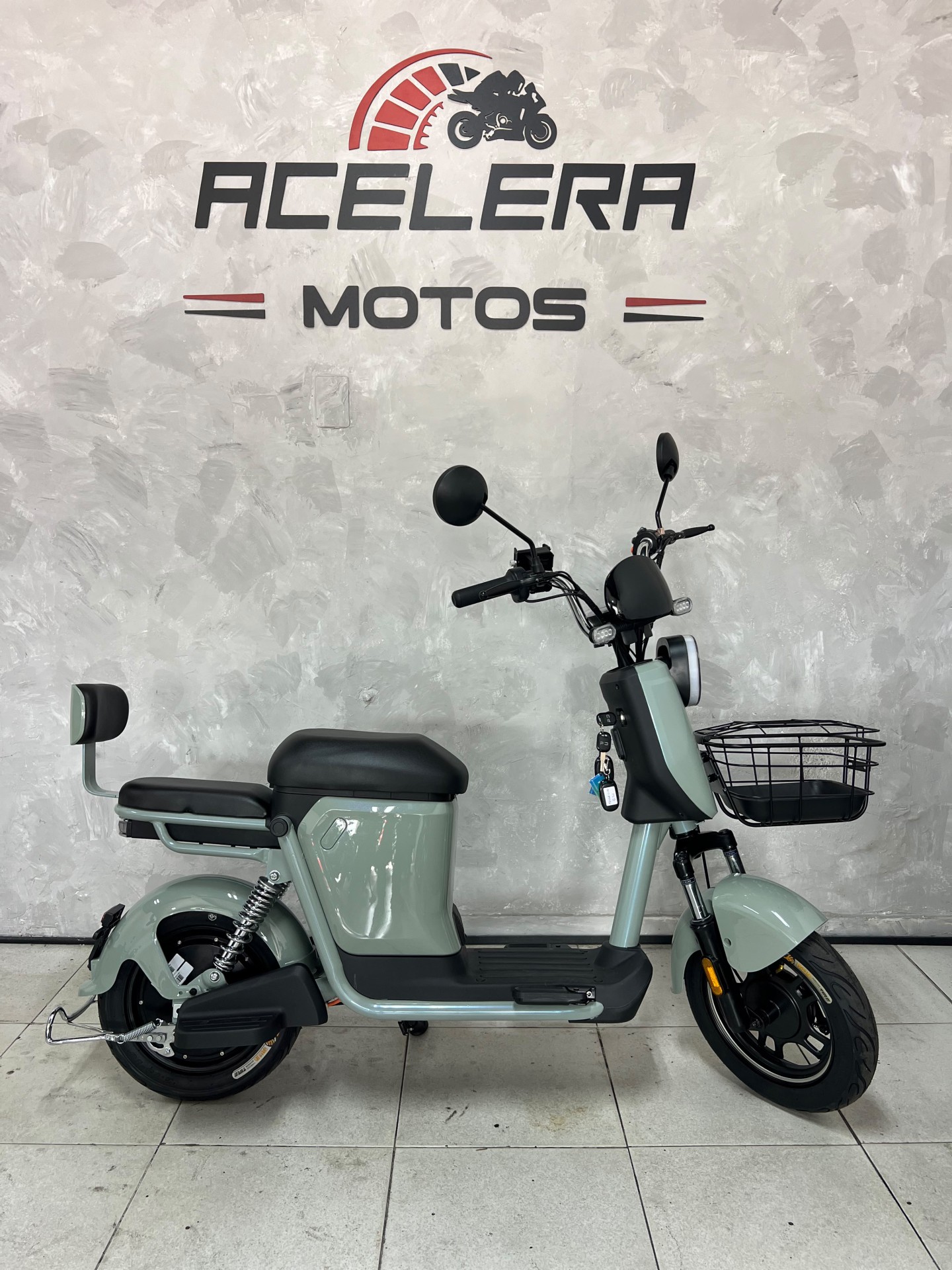Panda Z1p2 Moto Elétrica 1000watts Z1p2