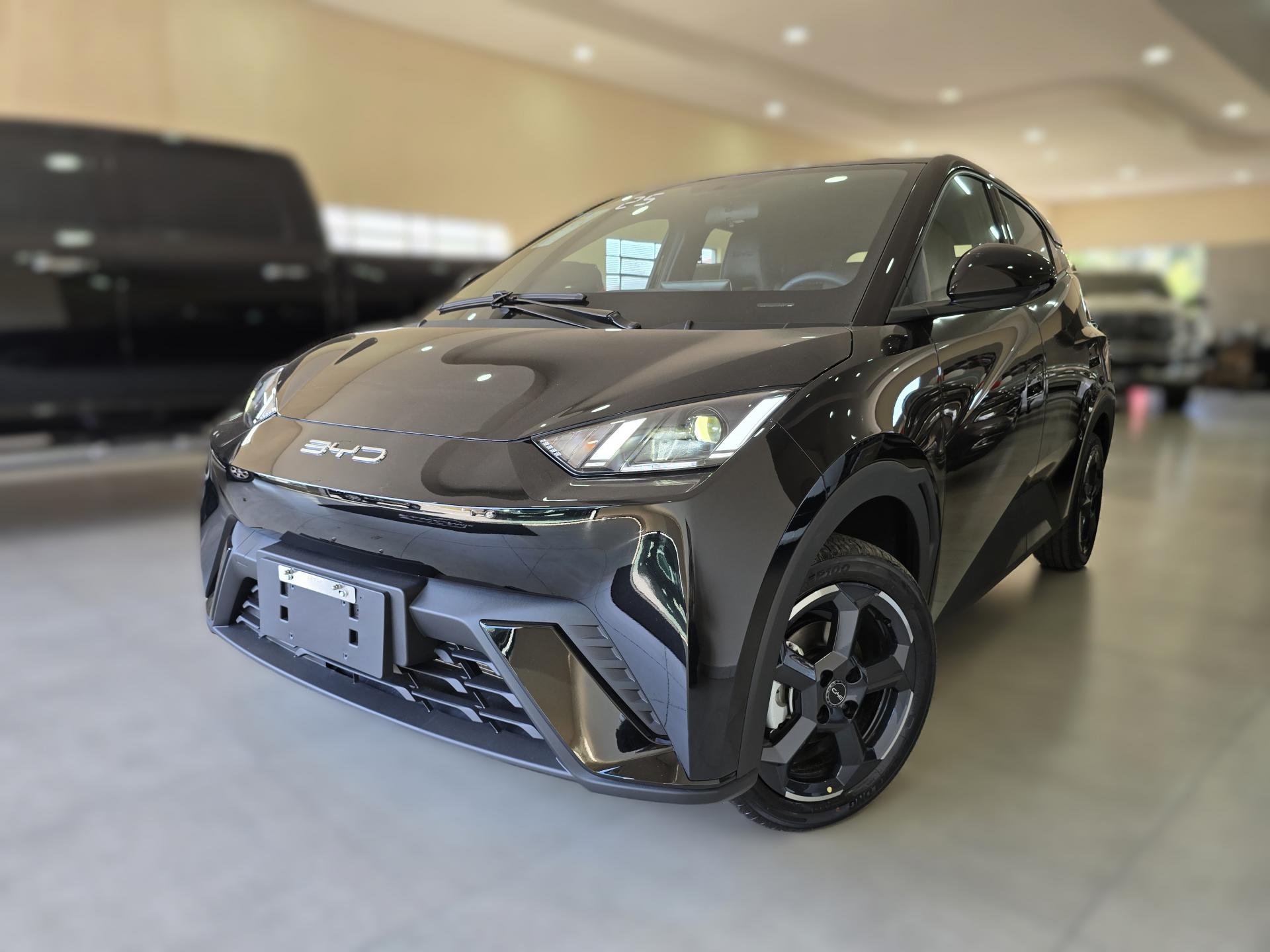 Dolphin Mini (elétrico)