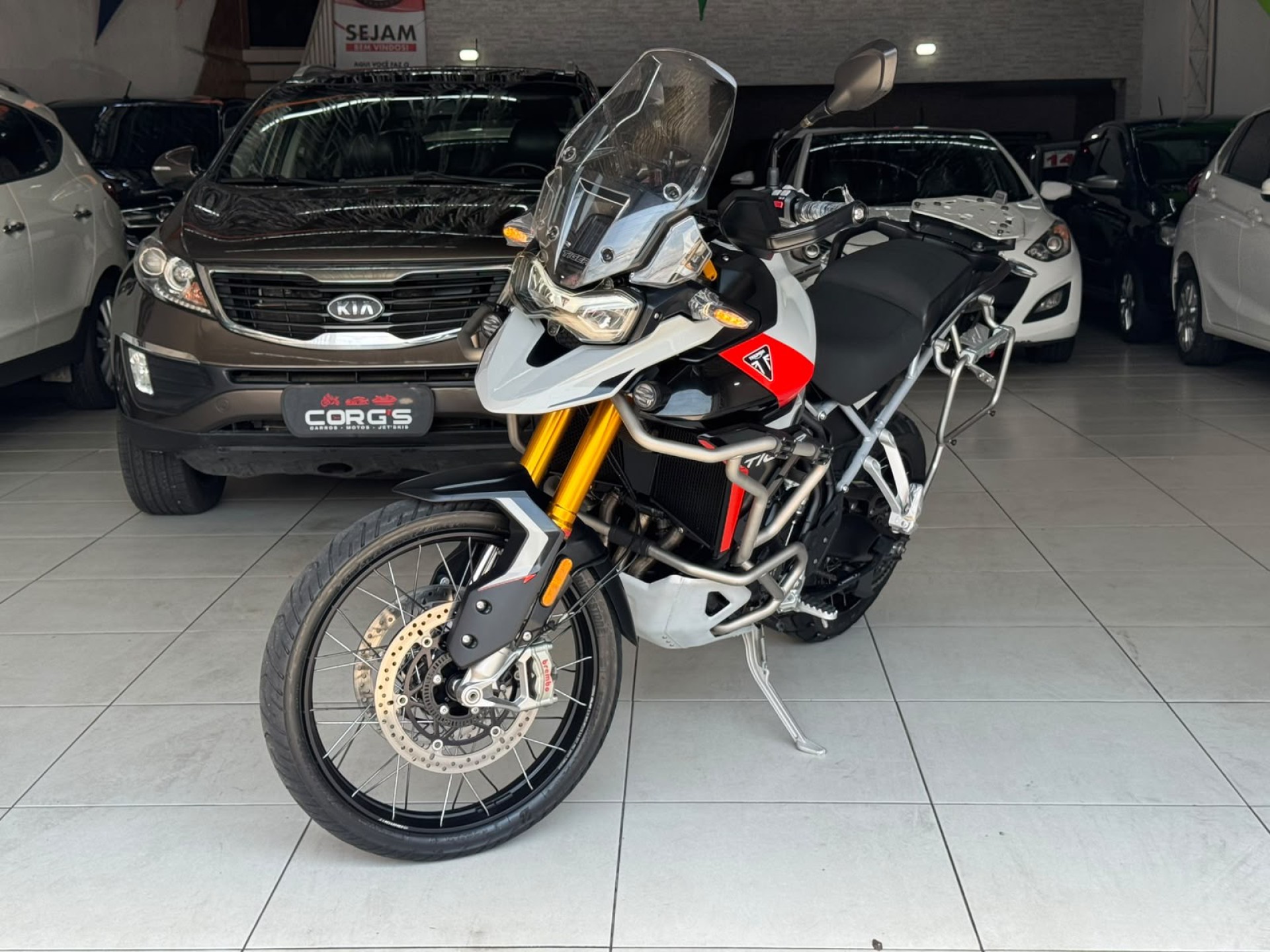 Tiger 900 Gt Pro