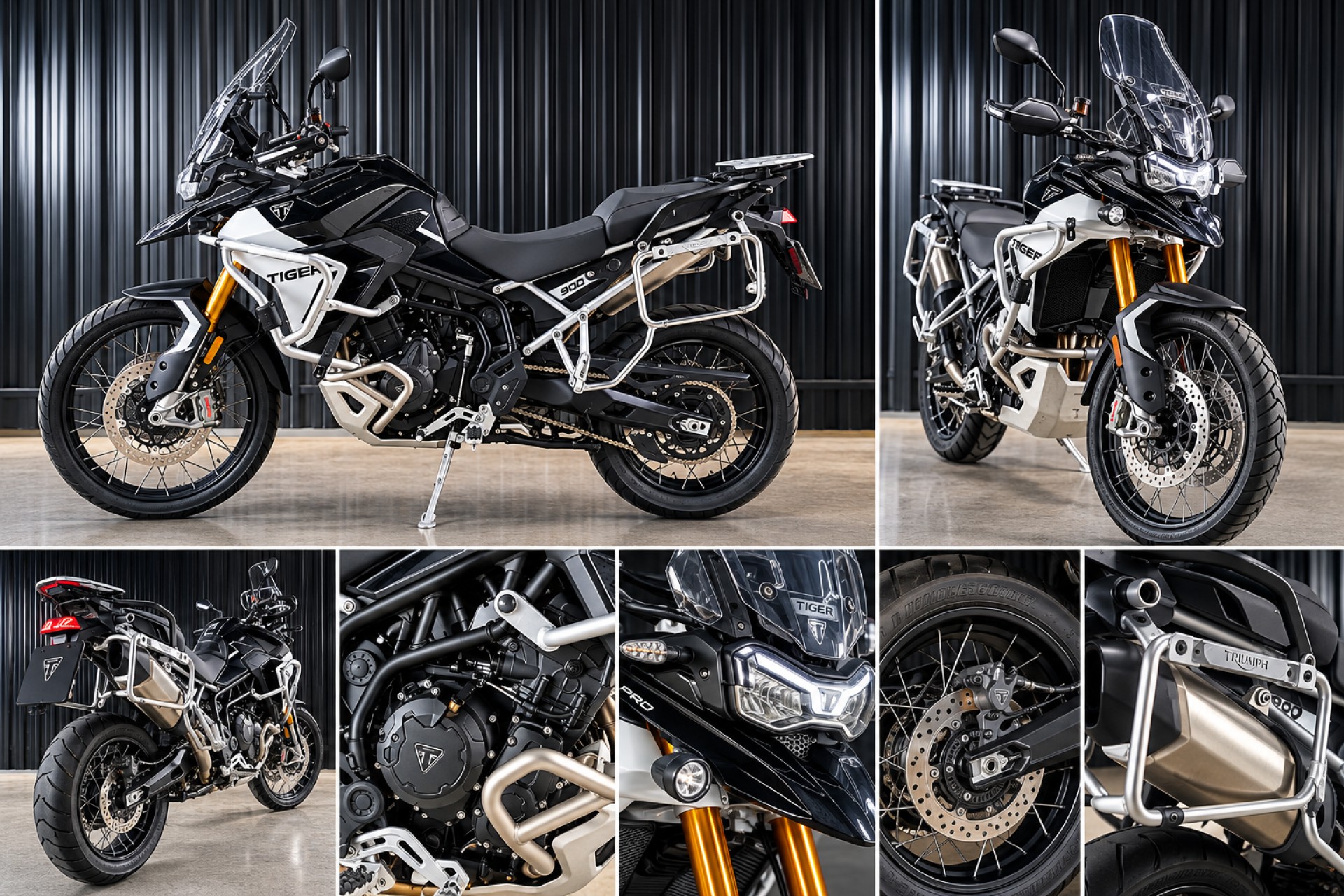Foto Tiger 900 Rally Pro
