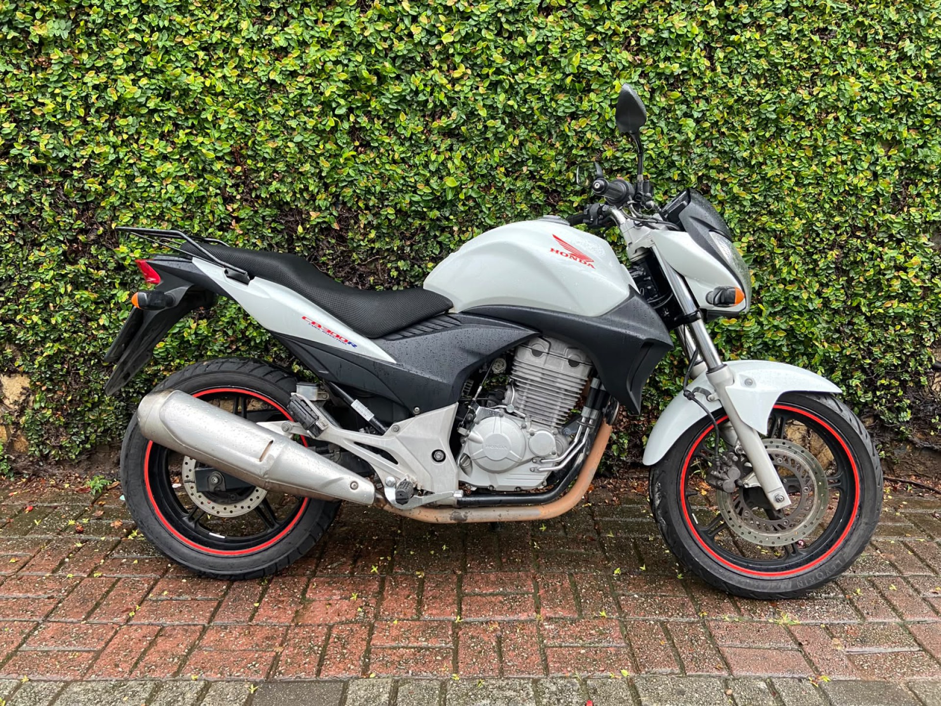 Honda CB 300r